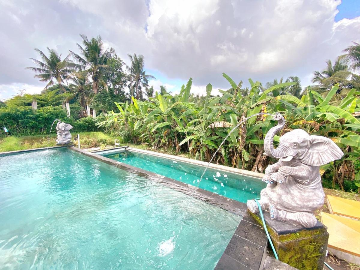 Ubud Rice Field House Exterior photo