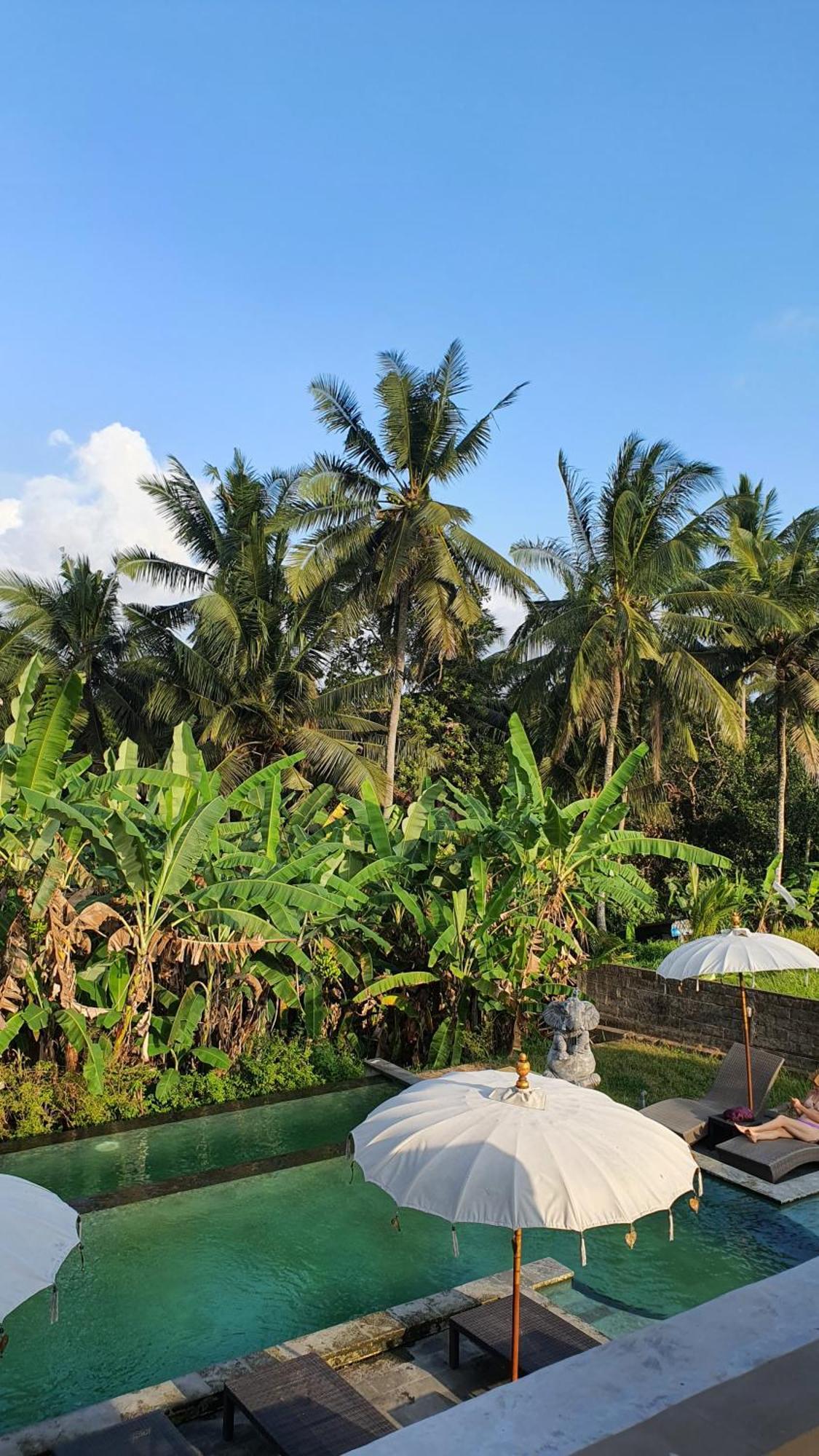 Ubud Rice Field House Exterior photo